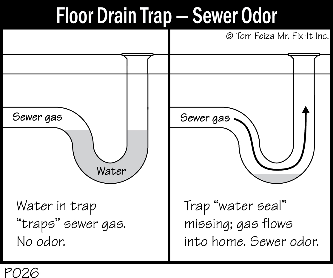 P026 - Floor Drain Trap - Sewer Smell